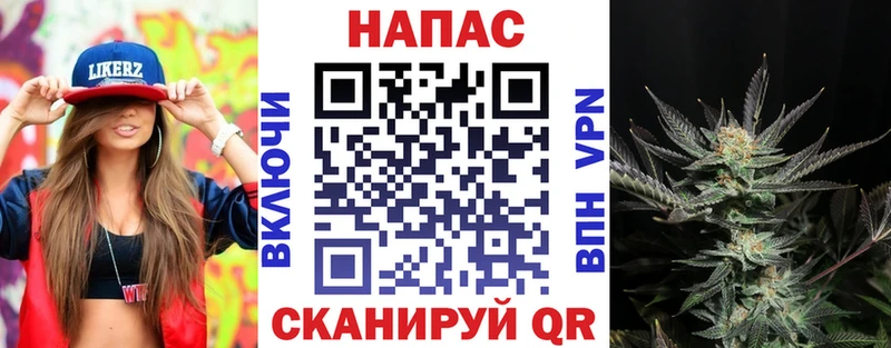 дарнет шоп  Майский  Бошки Шишки VHQ 